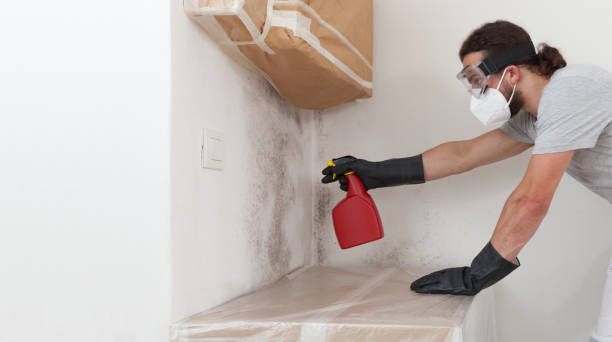 Professional Basement Mold Remediation technician working in Osseo, MN